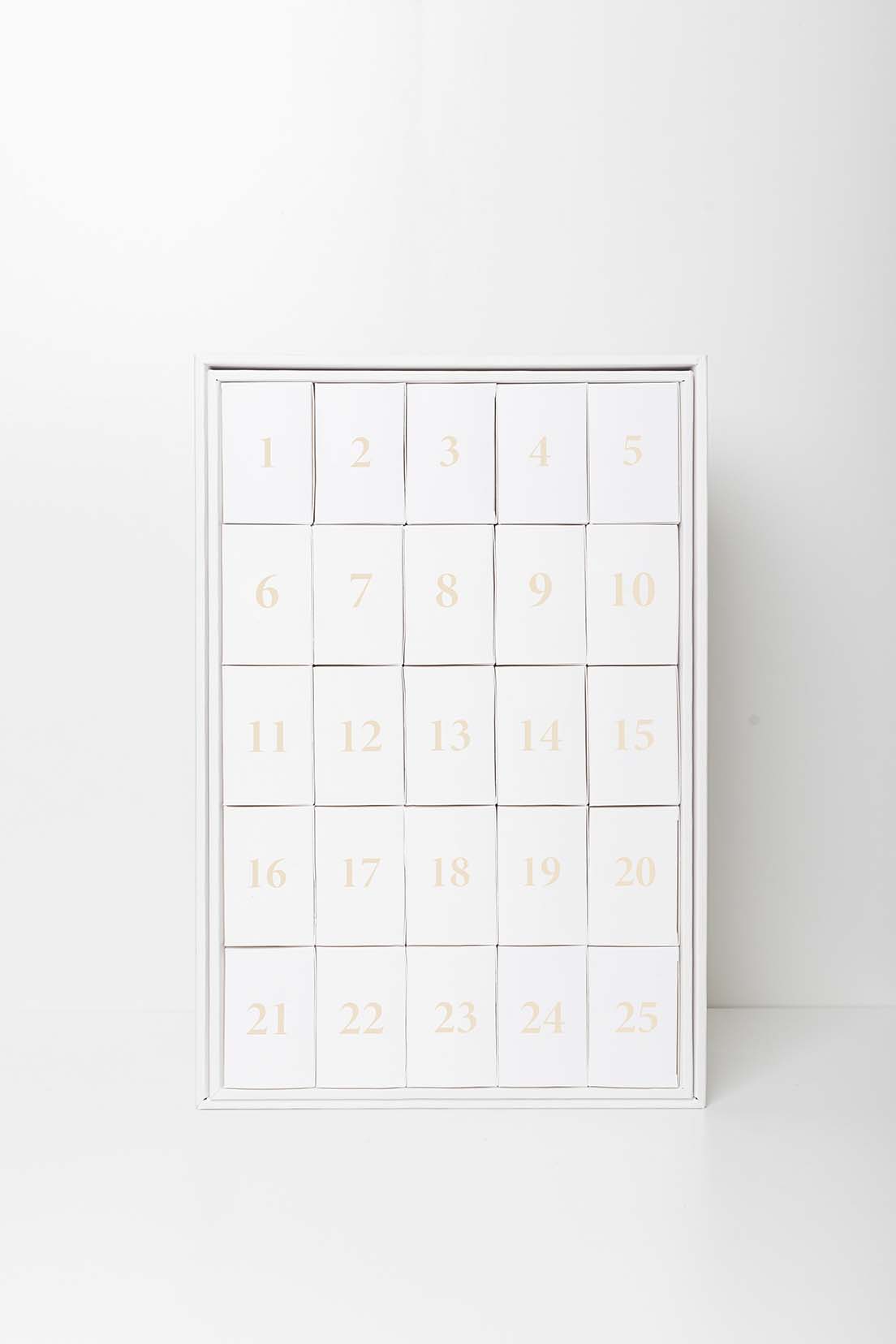 Multi-brand Advent Calendar - flash preorder Only: Nov 8–16